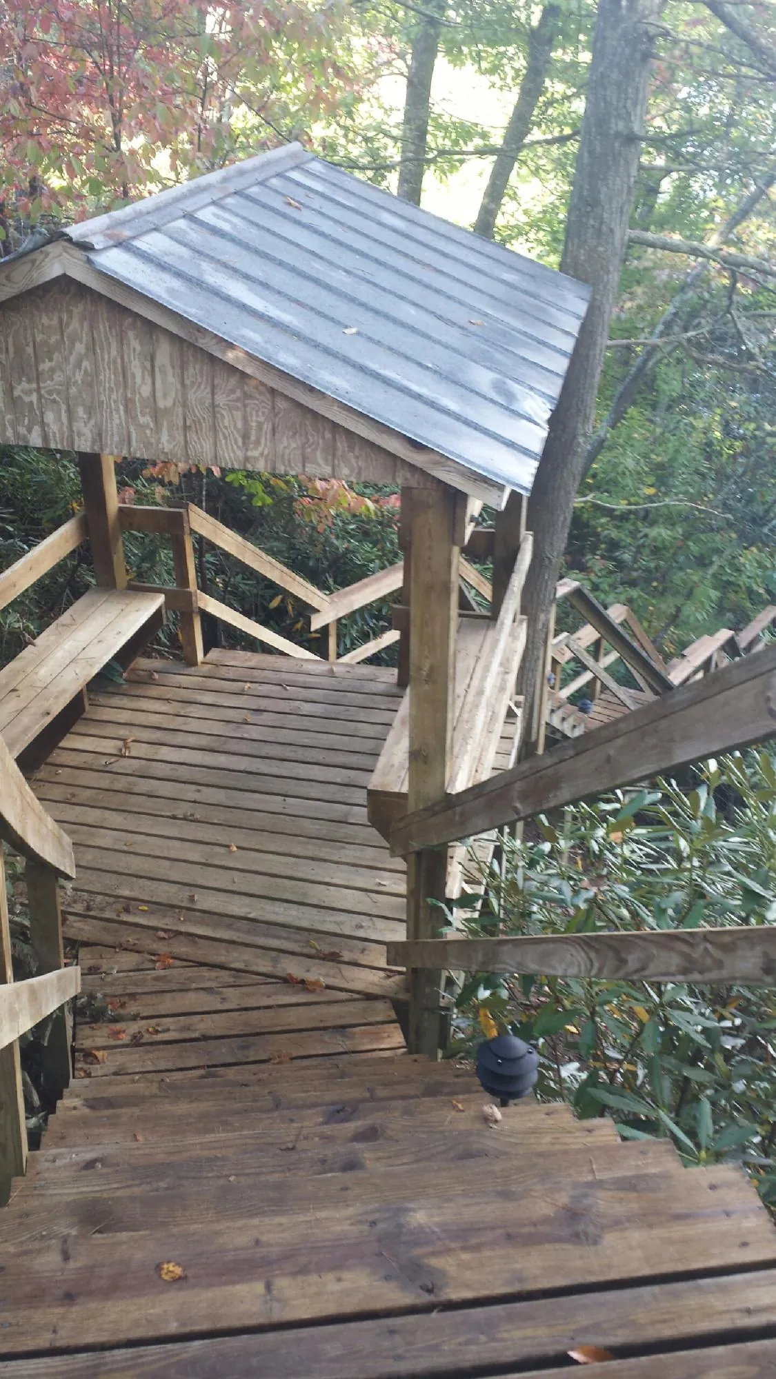 Metal roofed shelter over wooden steps on a wooded walkway — Skylight Repair & Installation work by our crew in Stamping Ground